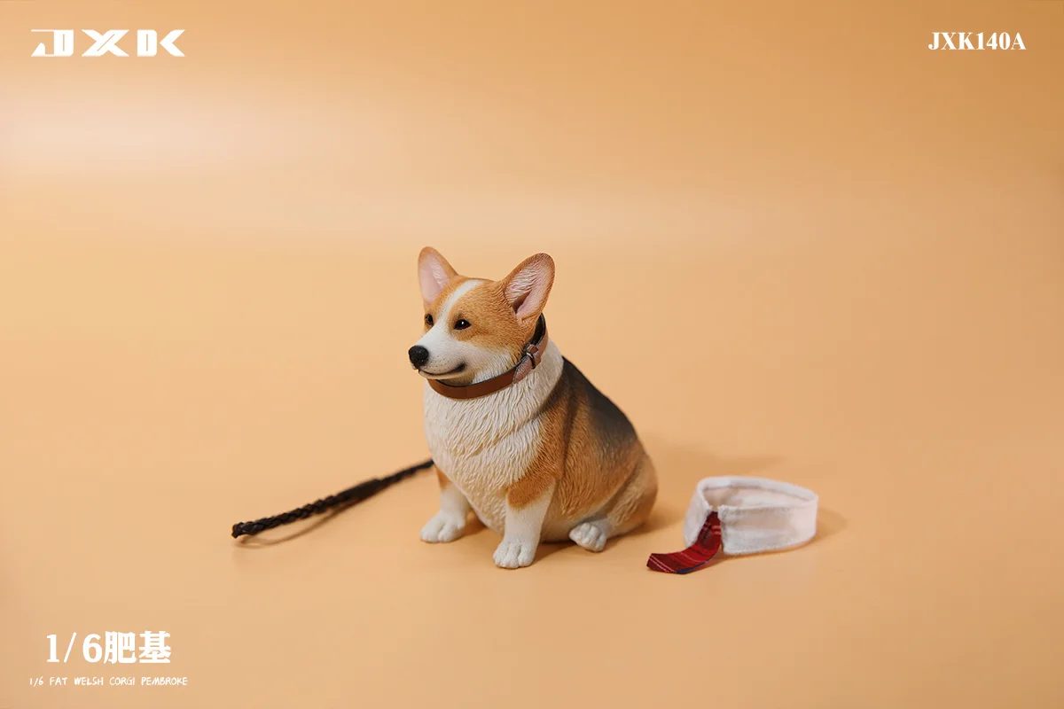 JXK 1/6 Fat Welsh Corgi Pembroke Model Dog Animal Accessory Scene Decoration Kids Educational Realistic Toy Collector Gift