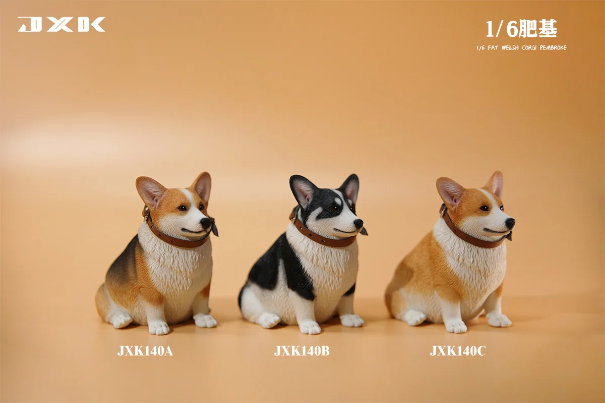 JXK 1/6 Fat Welsh Corgi Pembroke Model Dog Animal Accessory Scene Decoration Kids Educational Realistic Toy Collector Gift