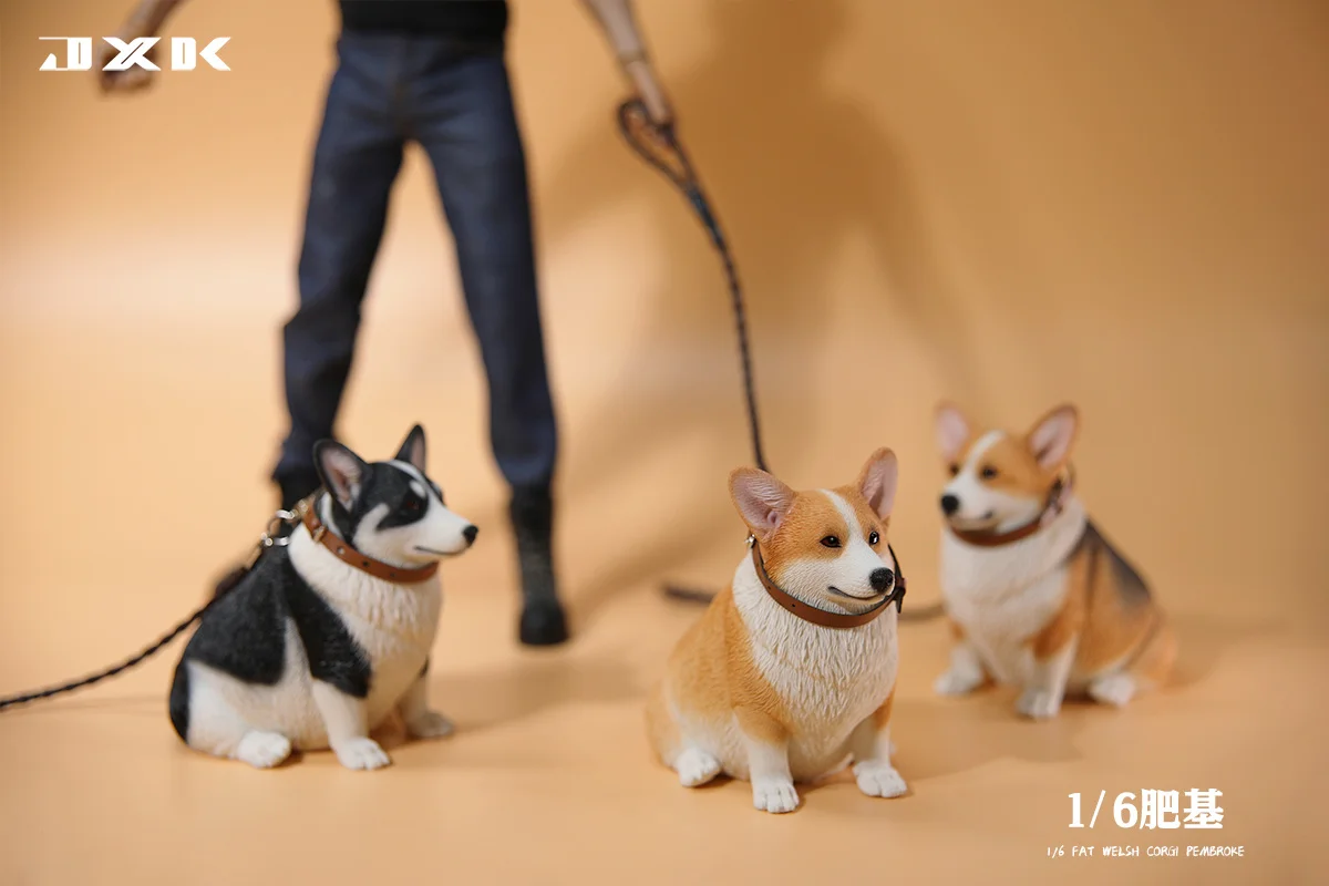 JXK 1/6 Fat Welsh Corgi Pembroke Model Dog Animal Accessory Scene Decoration Kids Educational Realistic Toy Collector Gift