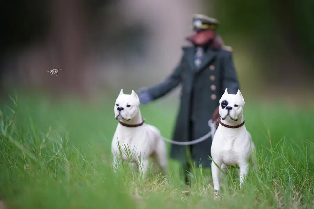 M7 1/6 Dogo Argentinos Dog Pet Figure Animal Model Collector Decoration Resin Education Adult Kids Toy Gift