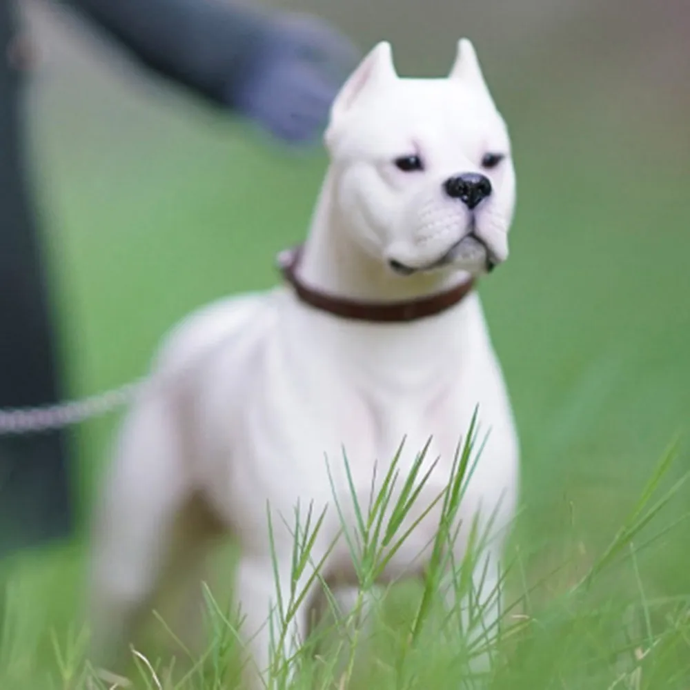 M7 1/6 Dogo Argentinos Dog Pet Figure Animal Model Collector Decoration Resin Education Adult Kids Toy Gift