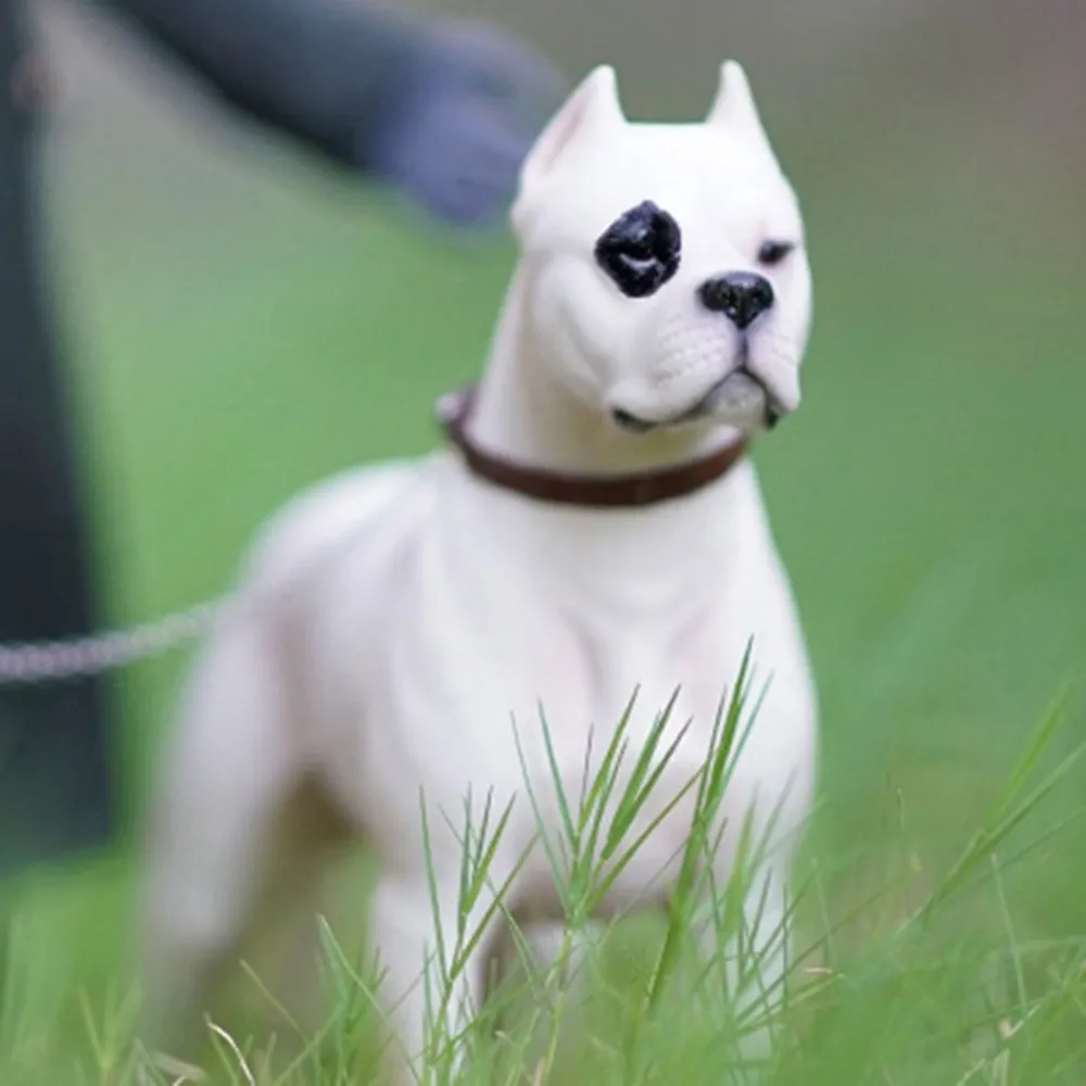M7 1/6 Dogo Argentinos Dog Pet Figure Animal Model Collector Decoration Resin Education Adult Kids Toy Gift