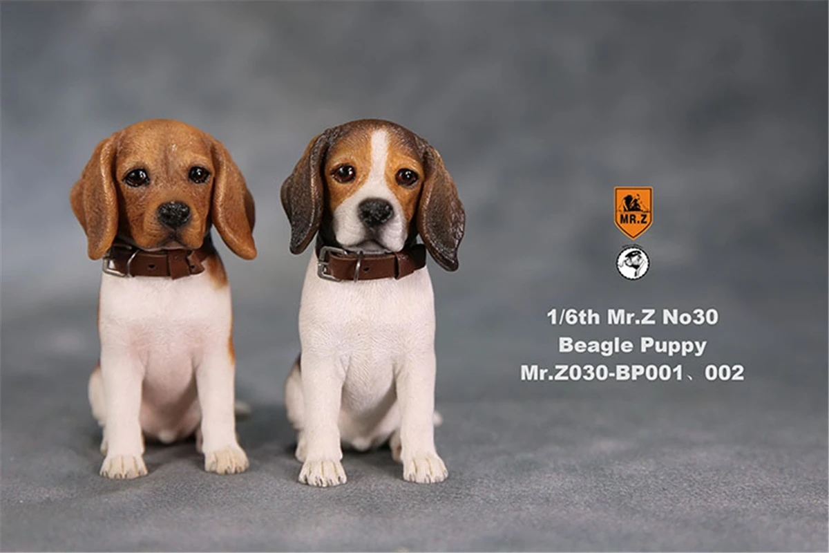 JXK Studio 1:6 Beagle Puppy Figure Dog Pet Healing Canidae Animal Model Toy Collector Desktop Decoration Adult Gift JXK Studio 1:6 Beagle Puppy Figure Dog Pet Healing Canidae Animal Model Toy Collector Desktop Decoration Adult Gift