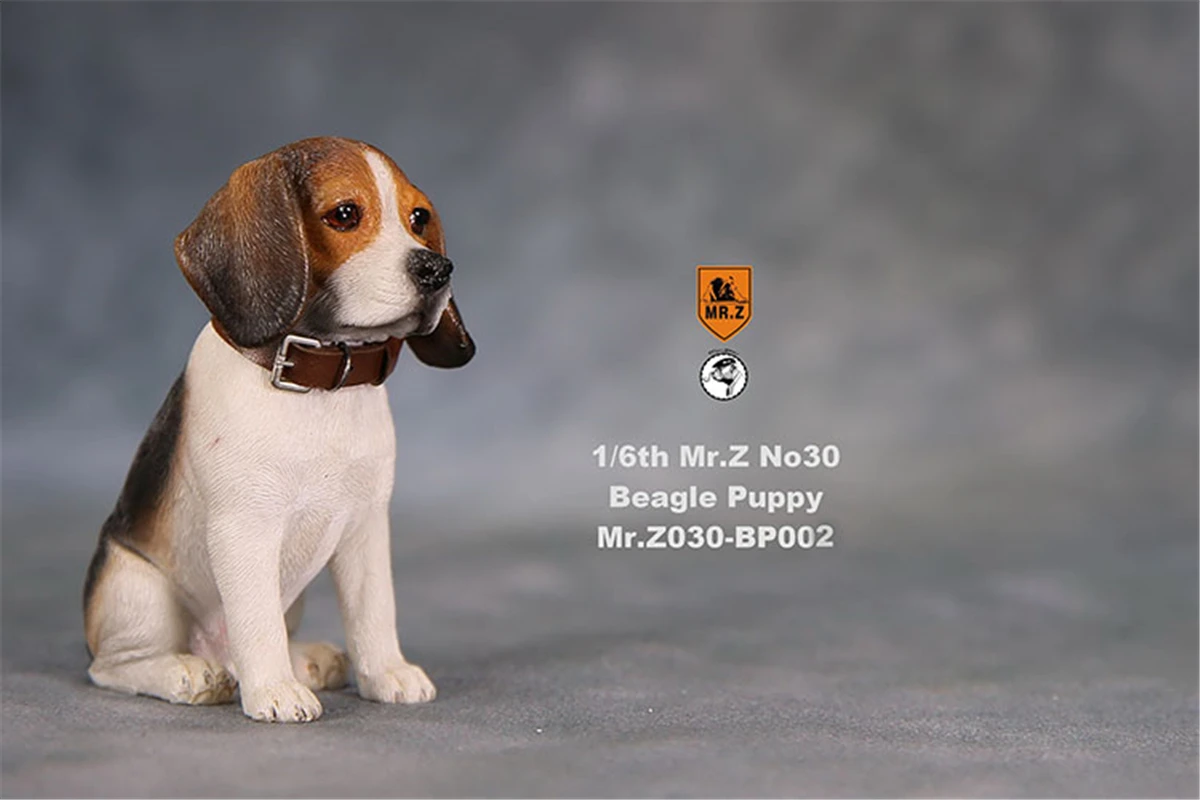 JXK Studio 1:6 Beagle Puppy Figure Dog Pet Healing Canidae Animal Model Toy Collector Desktop Decoration Adult Gift JXK Studio 1:6 Beagle Puppy Figure Dog Pet Healing Canidae Animal Model Toy Collector Desktop Decoration Adult Gift