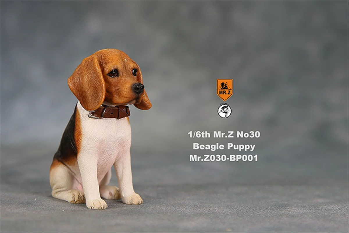 JXK Studio 1:6 Beagle Puppy Figure Dog Pet Healing Canidae Animal Model Toy Collector Desktop Decoration Adult Gift JXK Studio 1:6 Beagle Puppy Figure Dog Pet Healing Canidae Animal Model Toy Collector Desktop Decoration Adult Gift