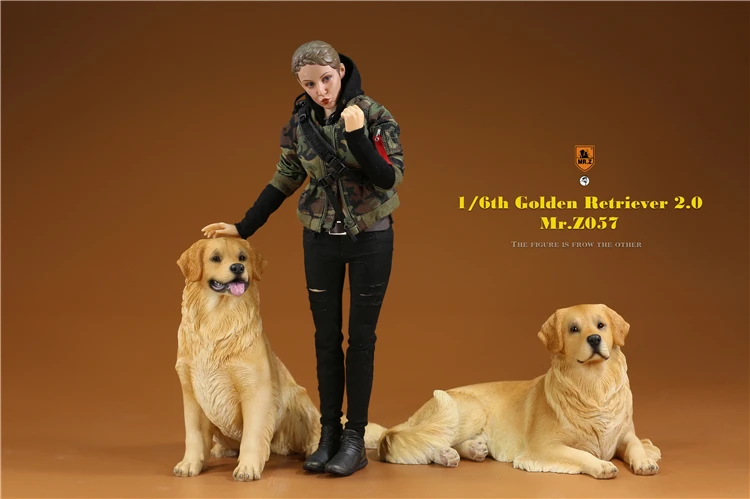 Mr.Z 1/6 Scale Z057 Simulation Animal Dog Golden Retriever Model Toy Gift For Action Figure Scene Car Decoration Accessories