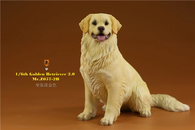 Mr.Z 1/6 Scale Z057 Simulation Animal Dog Golden Retriever Model Toy Gift For Action Figure Scene Car Decoration Accessories