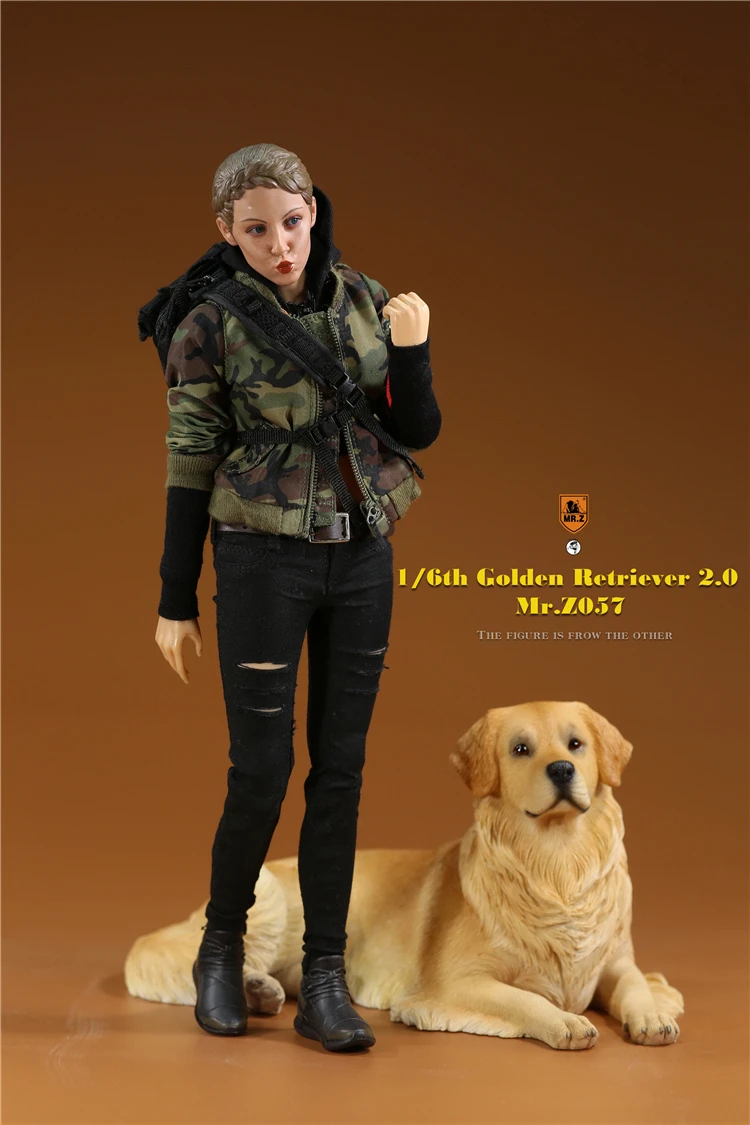 Mr.Z 1/6 Scale Z057 Simulation Animal Dog Golden Retriever Model Toy Gift For Action Figure Scene Car Decoration Accessories