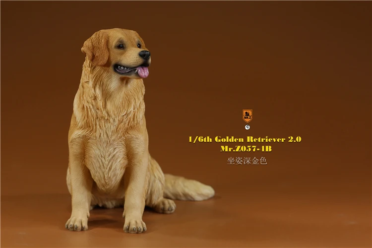 Mr.Z 1/6 Scale Z057 Simulation Animal Dog Golden Retriever Model Toy Gift For Action Figure Scene Car Decoration Accessories