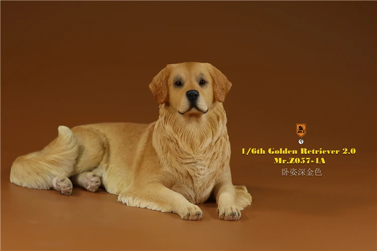 Mr.Z 1/6 Scale Z057 Simulation Animal Dog Golden Retriever Model Toy Gift For Action Figure Scene Car Decoration Accessories