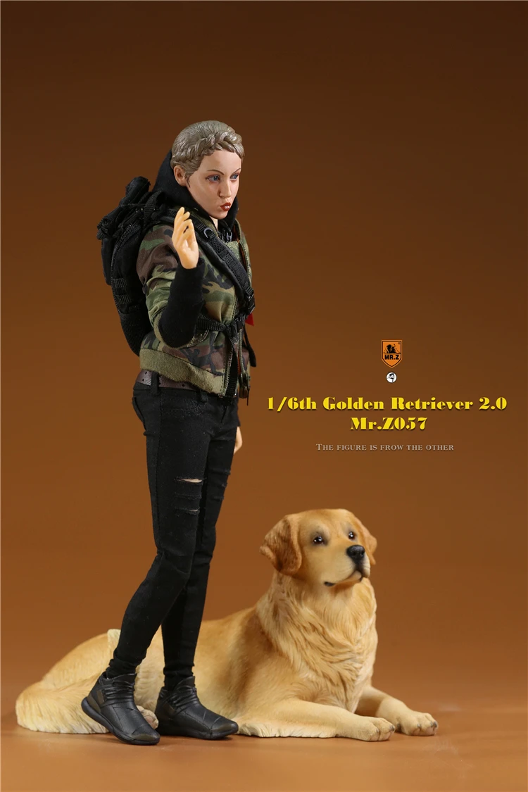 Mr.Z 1/6 Scale Z057 Simulation Animal Dog Golden Retriever Model Toy Gift For Action Figure Scene Car Decoration Accessories