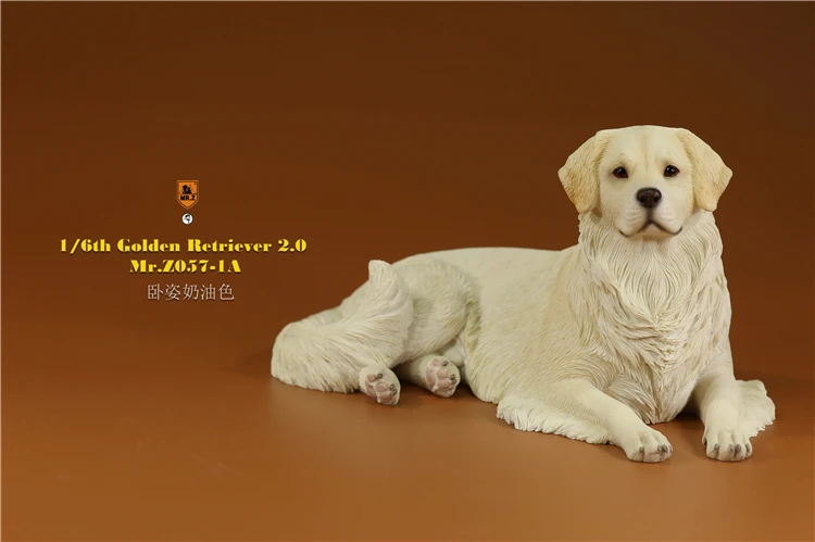 Mr.Z 1/6 Scale Z057 Simulation Animal Dog Golden Retriever Model Toy Gift For Action Figure Scene Car Decoration Accessories