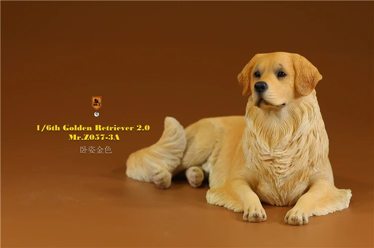 Mr.Z 1/6 Scale Z057 Simulation Animal Dog Golden Retriever Model Toy Gift For Action Figure Scene Car Decoration Accessories