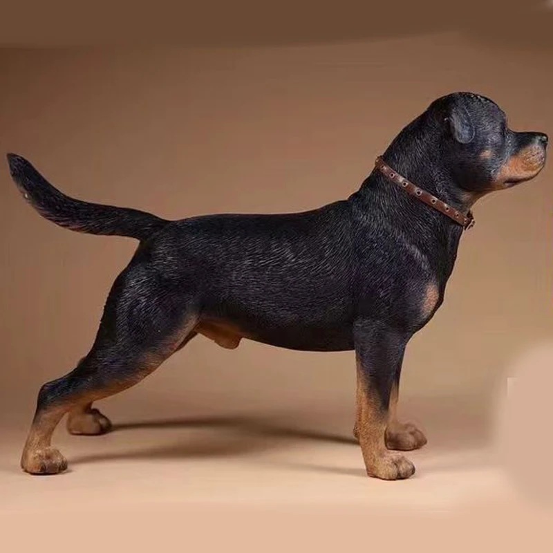 Mnotht 1/6 Scale German Rottweiler Model Resin Simulation Animal Dog Sculpture Model For 12in Action Figure Toys Collections Mnotht 1/6 Scale German Rottweiler Model Resin Simulation Animal Dog Sculpture Model For 12in Action Figure Toys Collections