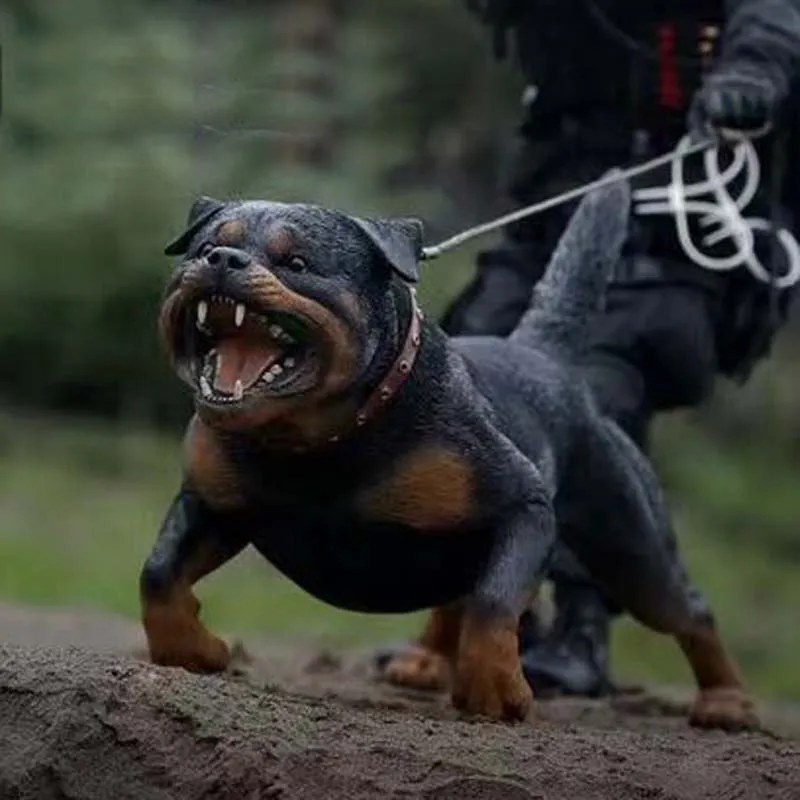 Mnotht 1/6 Scale German Rottweiler Model Resin Simulation Animal Dog Sculpture Model For 12in Action Figure Toys Collections Mnotht 1/6 Scale German Rottweiler Model Resin Simulation Animal Dog Sculpture Model For 12in Action Figure Toys Collections
