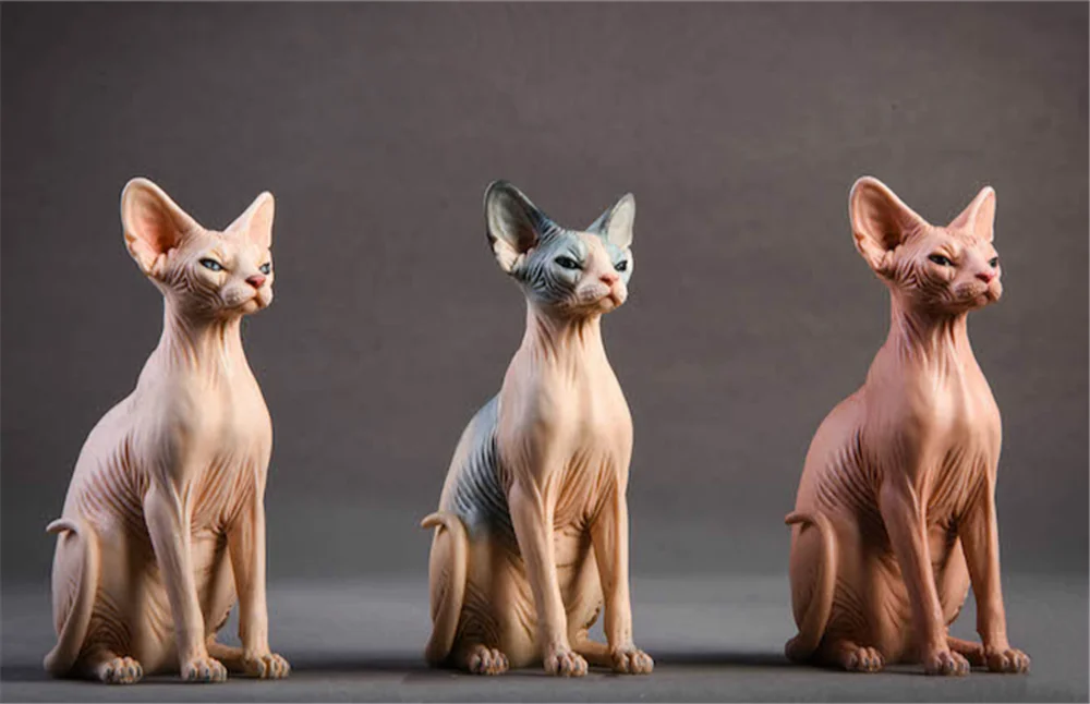 JxK 1:6 Scale Canadian Hairless Cat Pet Sphynx Healing Figure Felidae Animal Collector Toy Resin Desktop Decoration Gift