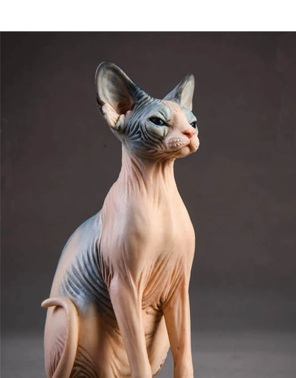 JxK 1:6 Scale Canadian Hairless Cat Pet Sphynx Healing Figure Felidae Animal Collector Toy Resin Desktop Decoration Gift