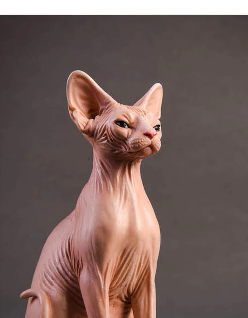 JxK 1:6 Scale Canadian Hairless Cat Pet Sphynx Healing Figure Felidae Animal Collector Toy Resin Desktop Decoration Gift