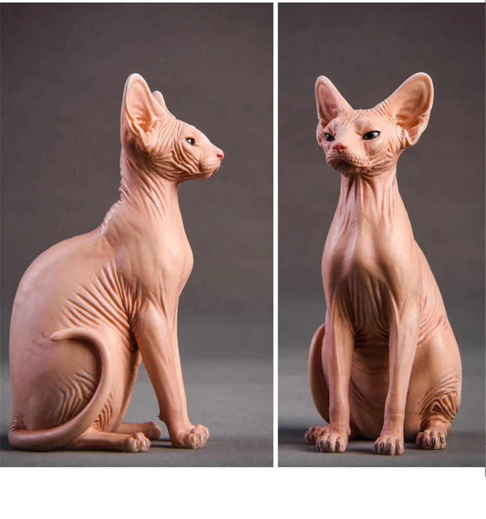 JxK 1:6 Scale Canadian Hairless Cat Pet Sphynx Healing Figure Felidae Animal Collector Toy Resin Desktop Decoration Gift