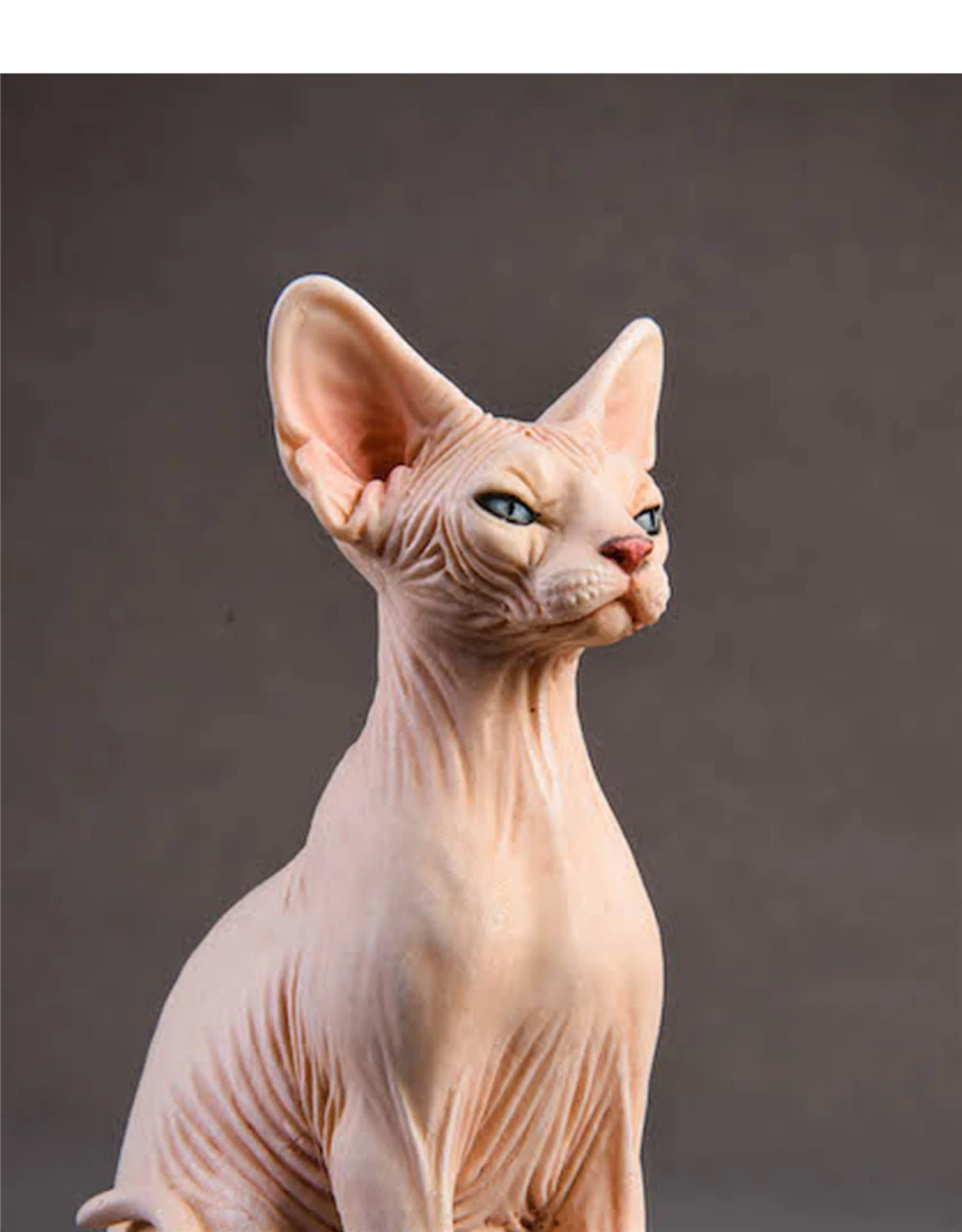 JxK 1:6 Scale Canadian Hairless Cat Pet Sphynx Healing Figure Felidae Animal Collector Toy Resin Desktop Decoration Gift
