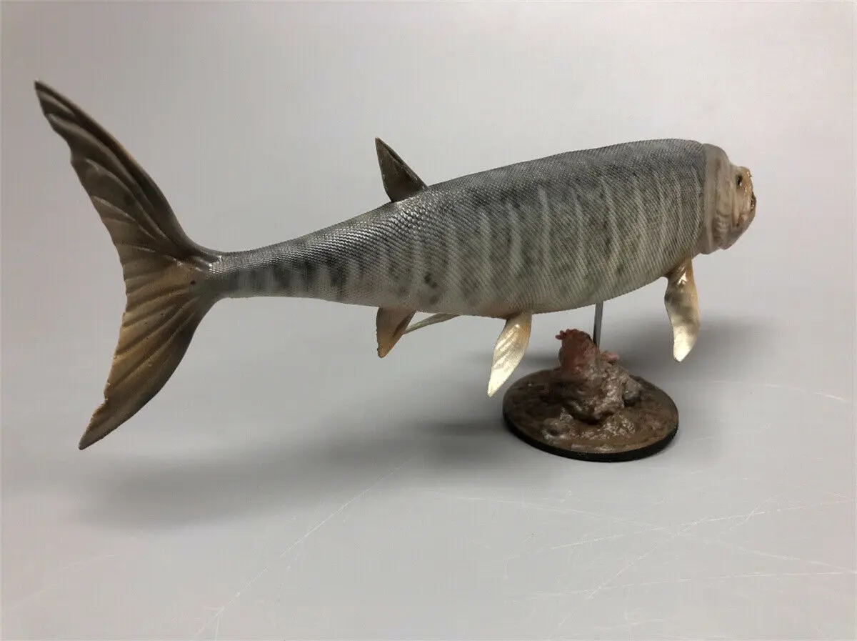 Rheic 1/35 Xiphactinus Model Bony Fish Ocean Resin Animal Educational for Children Adults Collector Toy Decoration Rheic 1/35 Xiphactinus Model Bony Fish Ocean Resin Animal Educational for Children Adults Collector Toy Decoration