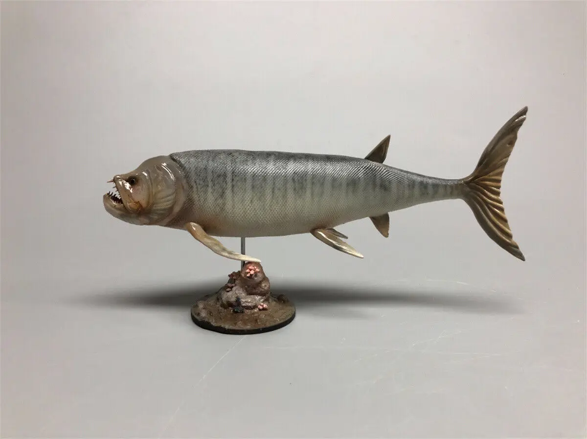 Rheic 1/35 Xiphactinus Model Bony Fish Ocean Resin Animal Educational for Children Adults Collector Toy Decoration Rheic 1/35 Xiphactinus Model Bony Fish Ocean Resin Animal Educational for Children Adults Collector Toy Decoration