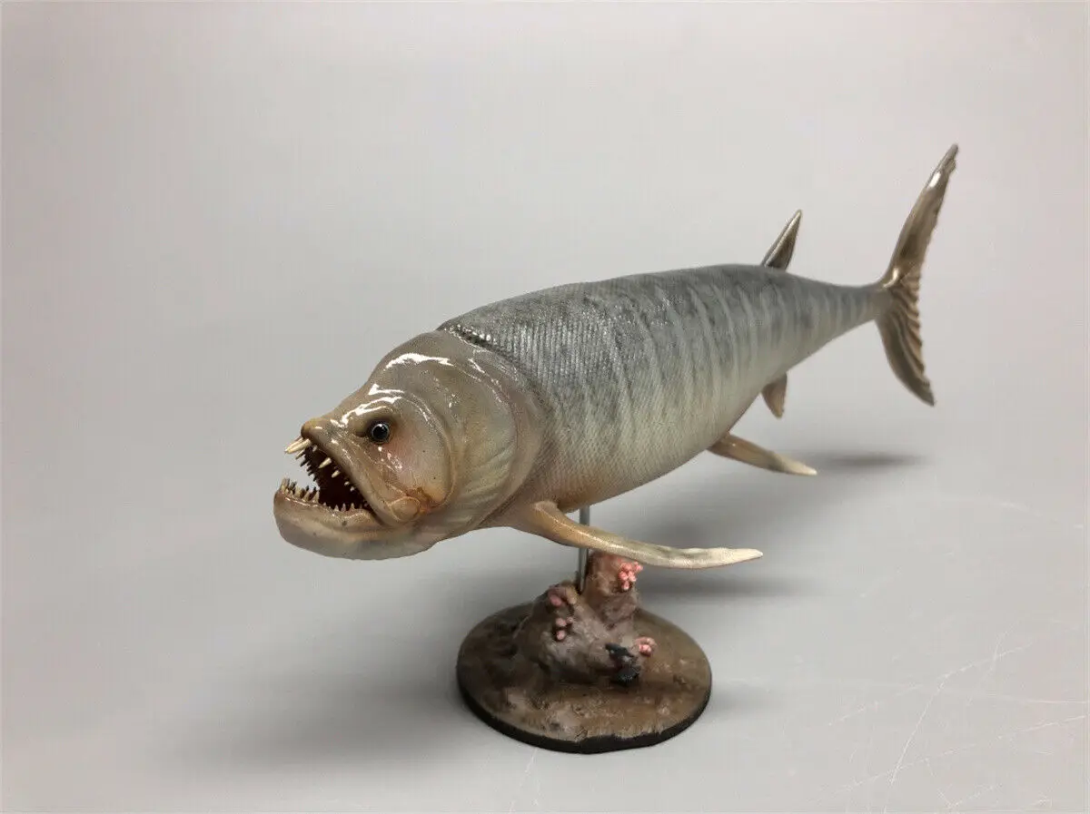 Rheic 1/35 Xiphactinus Model Bony Fish Ocean Resin Animal Educational for Children Adults Collector Toy Decoration Rheic 1/35 Xiphactinus Model Bony Fish Ocean Resin Animal Educational for Children Adults Collector Toy Decoration