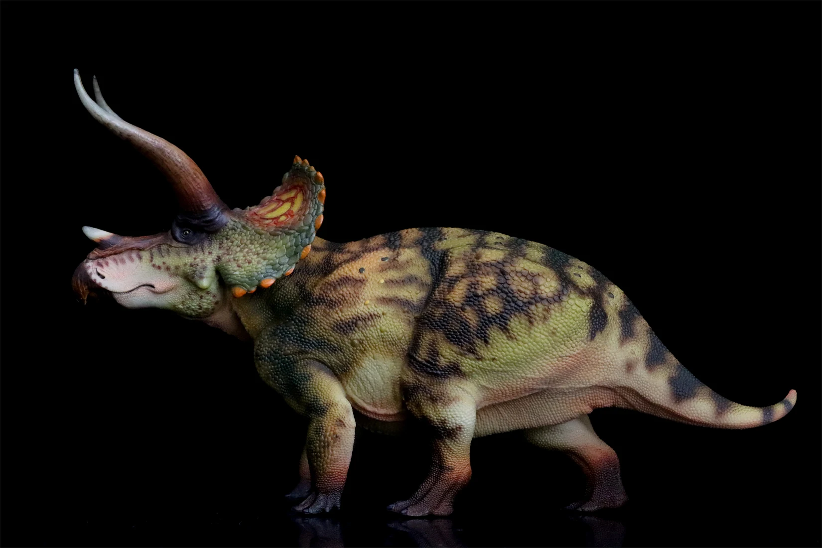 HAOLONGGOOD 1:35 Triceratops Model Ceratopsidae Dinosaur Animal Figure Collection Scene Decoration Birthday Gift