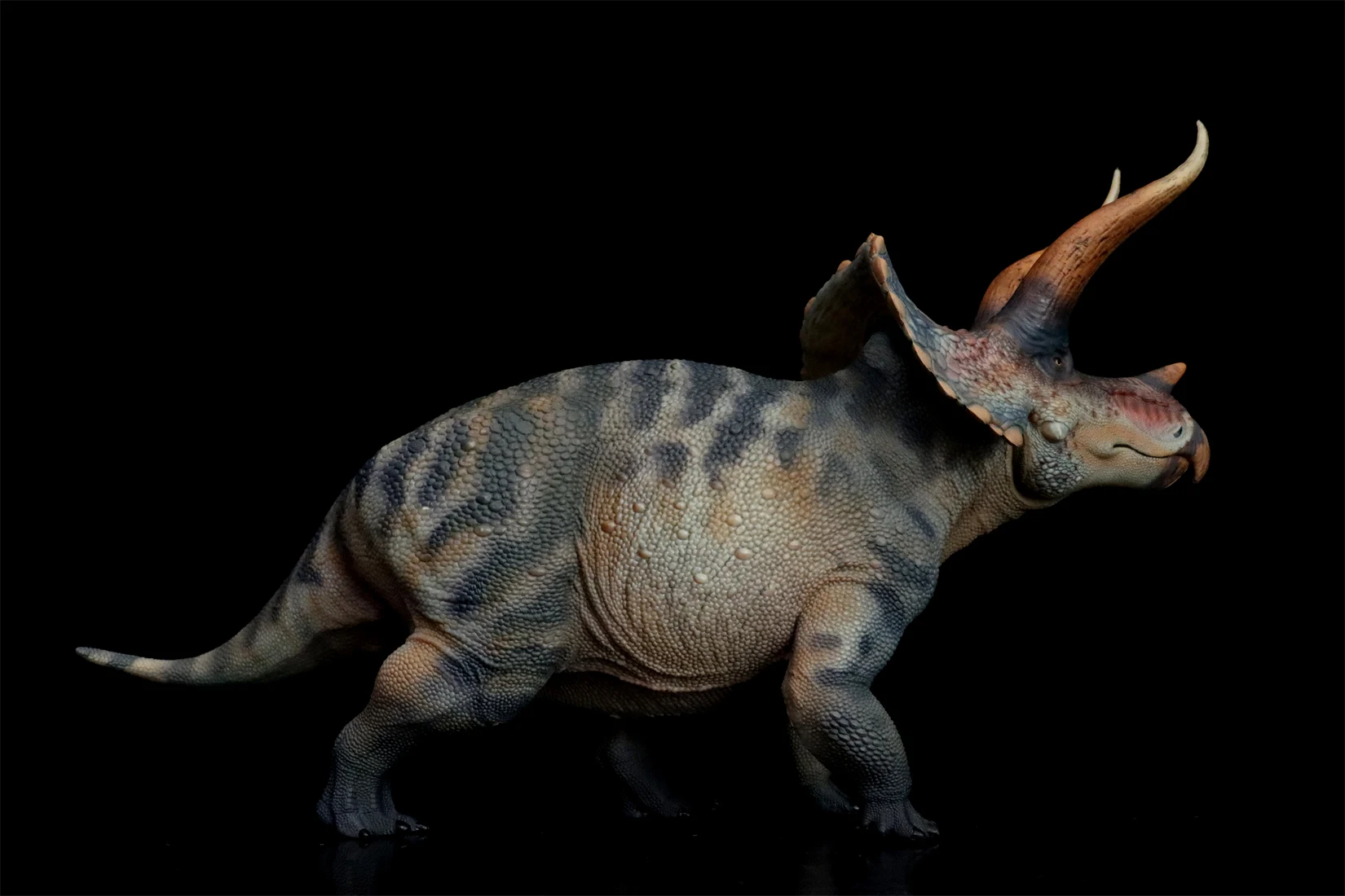 HAOLONGGOOD 1:35 Triceratops Model Ceratopsidae Dinosaur Animal Figure Collection Scene Decoration Birthday Gift