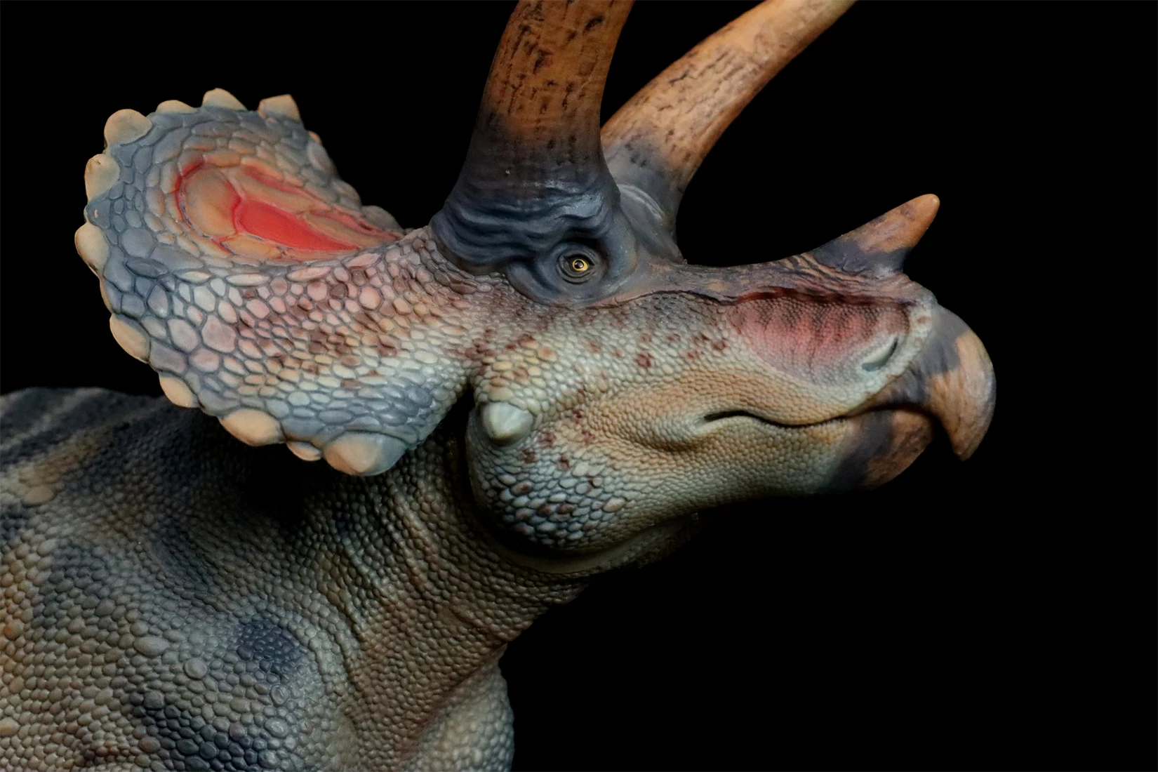 HAOLONGGOOD 1:35 Triceratops Model Ceratopsidae Dinosaur Animal Figure Collection Scene Decoration Birthday Gift