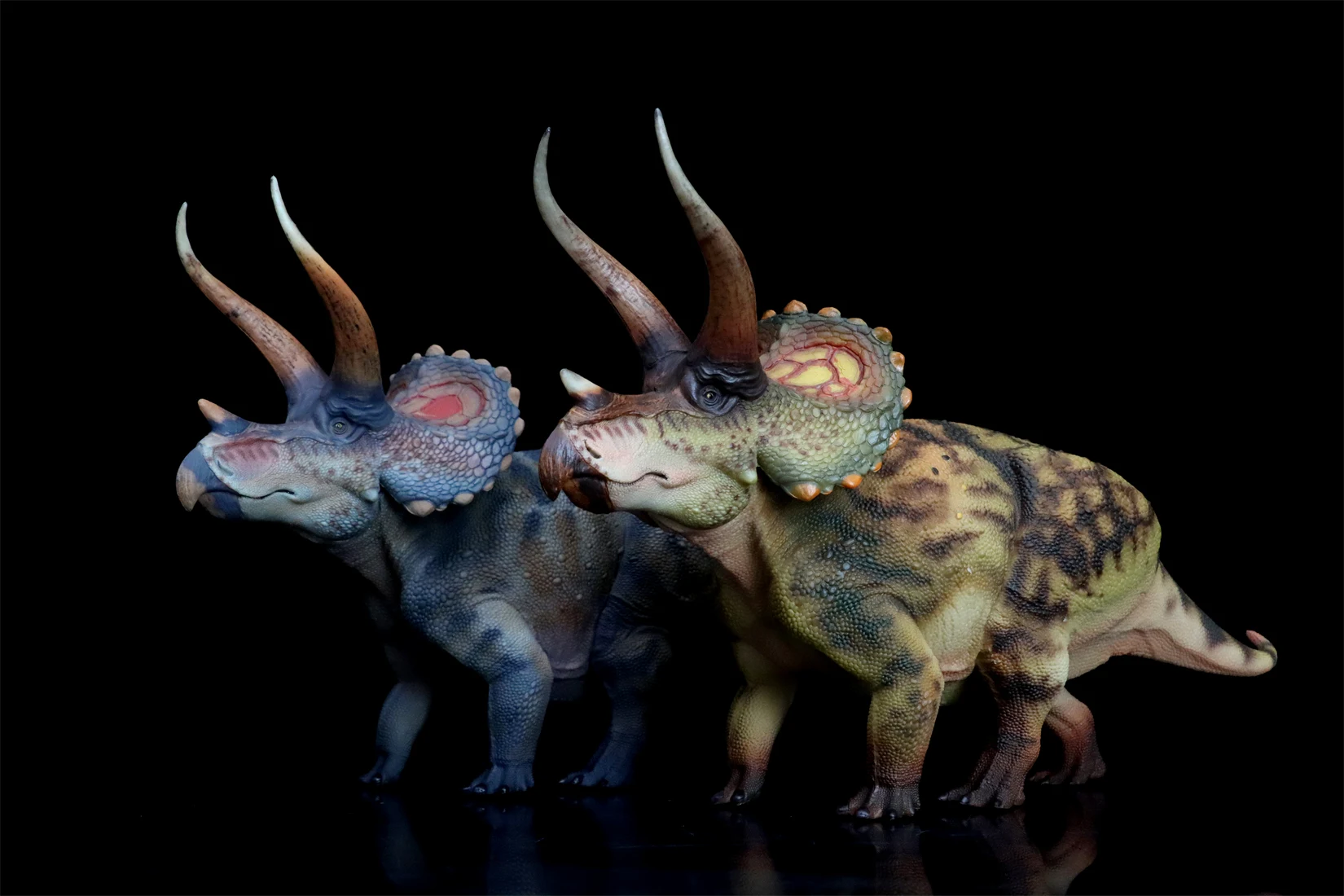 HAOLONGGOOD 1:35 Triceratops Model Ceratopsidae Dinosaur Animal Figure Collection Scene Decoration Birthday Gift