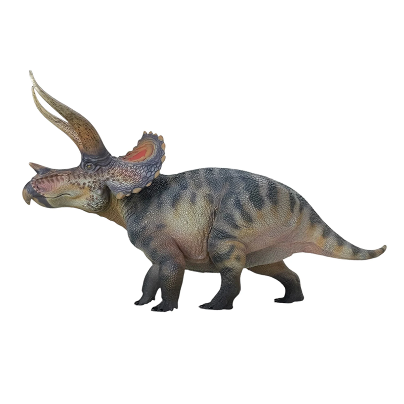 HAOLONGGOOD 1:35 Triceratops Model Ceratopsidae Dinosaur Animal Figure Collection Scene Decoration Birthday Gift