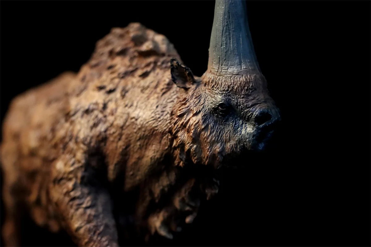 TNG Elasmotherium Model Animal Rhinos Prehistoric Cretaceous Figure Collector Decoration Photography Props Adults Gift Toy