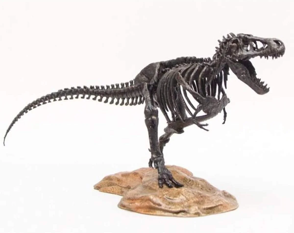 1/72 Tyrannosaurus Trex Skeleton Model T-Rex Dinosaur Animal Figure Collector Decoration Gift Adult GK Toy 1/72 Tyrannosaurus Trex Skeleton Model T-Rex Dinosaur Animal Figure Collector Decoration Gift Adult GK Toy