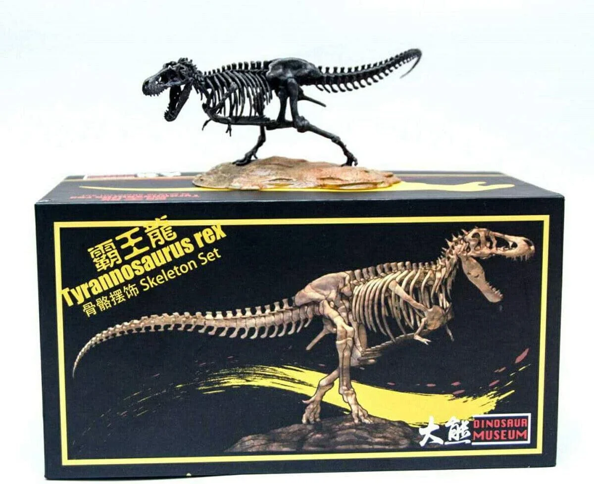1/72 Tyrannosaurus Trex Skeleton Model T-Rex Dinosaur Animal Figure Collector Decoration Gift Adult GK Toy 1/72 Tyrannosaurus Trex Skeleton Model T-Rex Dinosaur Animal Figure Collector Decoration Gift Adult GK Toy