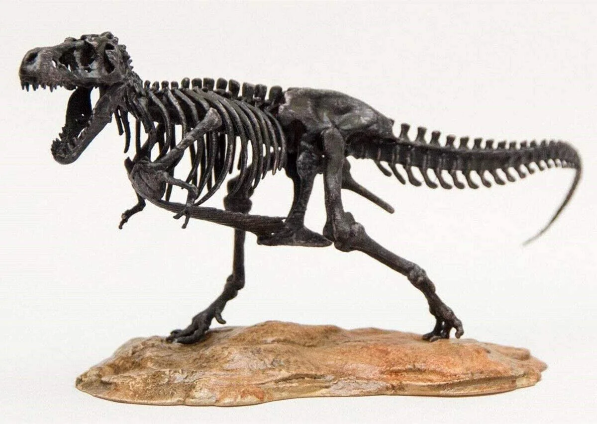 1/72 Tyrannosaurus Trex Skeleton Model T-Rex Dinosaur Animal Figure Collector Decoration Gift Adult GK Toy 1/72 Tyrannosaurus Trex Skeleton Model T-Rex Dinosaur Animal Figure Collector Decoration Gift Adult GK Toy