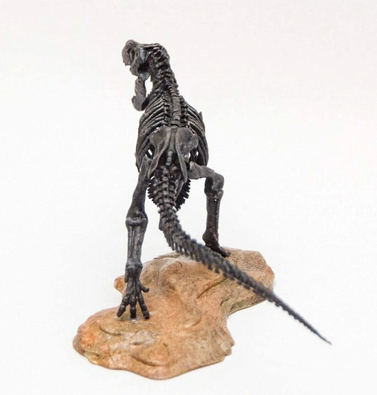 1/72 Tyrannosaurus Trex Skeleton Model T-Rex Dinosaur Animal Figure Collector Decoration Gift Adult GK Toy 1/72 Tyrannosaurus Trex Skeleton Model T-Rex Dinosaur Animal Figure Collector Decoration Gift Adult GK Toy