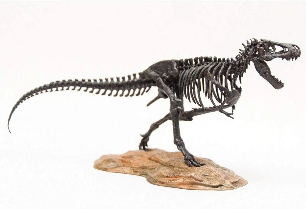 1/72 Tyrannosaurus Trex Skeleton Model T-Rex Dinosaur Animal Figure Collector Decoration Gift Adult GK Toy 1/72 Tyrannosaurus Trex Skeleton Model T-Rex Dinosaur Animal Figure Collector Decoration Gift Adult GK Toy