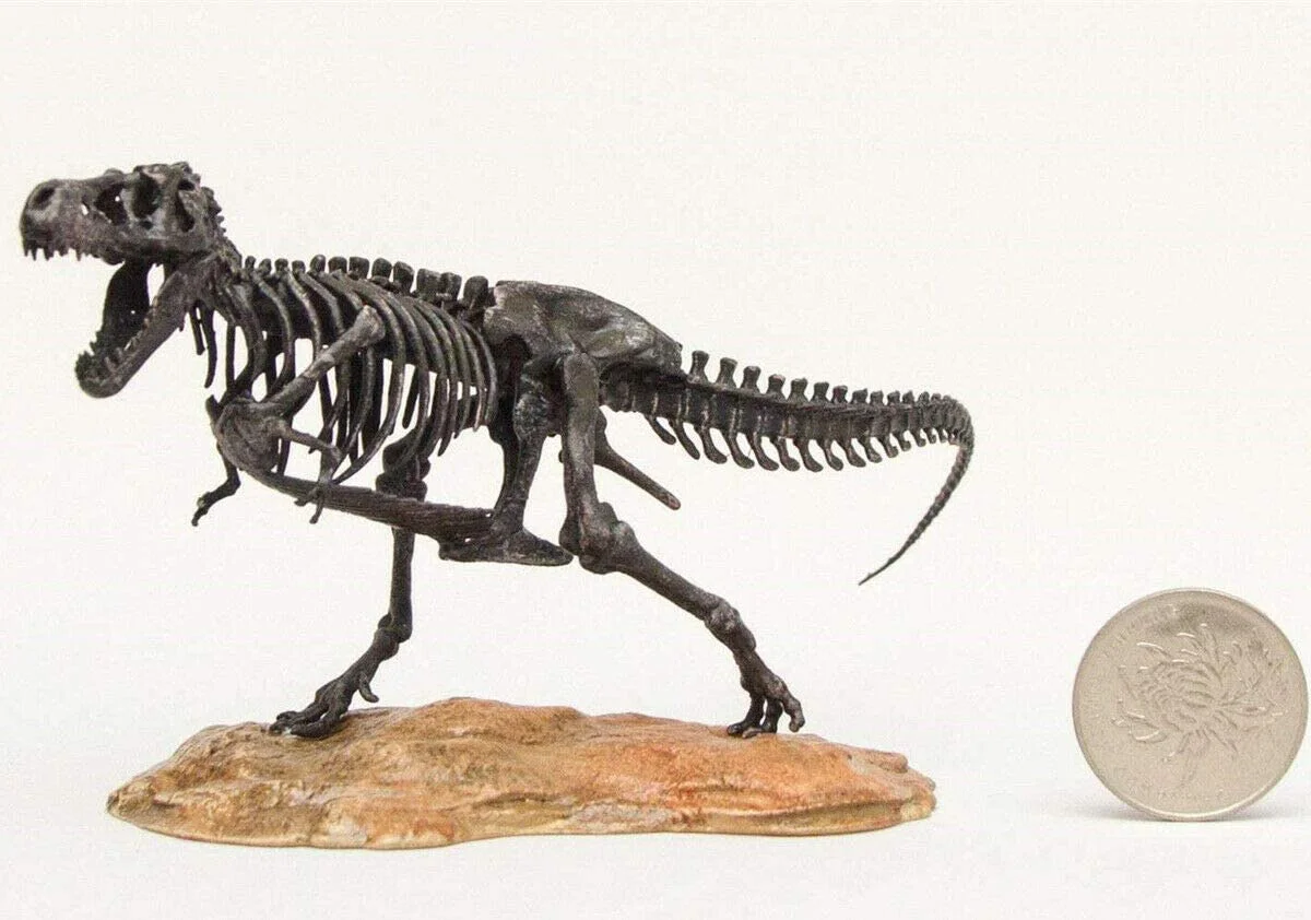 1/72 Tyrannosaurus Trex Skeleton Model T-Rex Dinosaur Animal Figure Collector Decoration Gift Adult GK Toy 1/72 Tyrannosaurus Trex Skeleton Model T-Rex Dinosaur Animal Figure Collector Decoration Gift Adult GK Toy