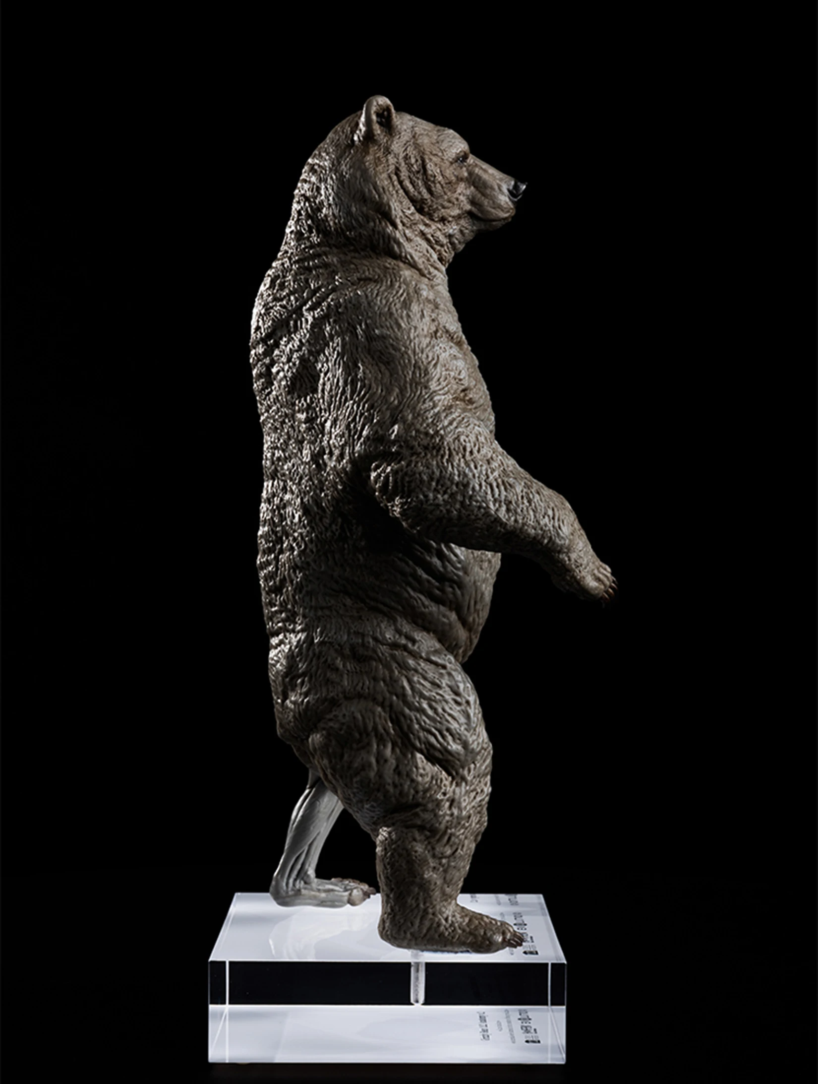 EVOLABORATORY 1/12 Bear Ursidae Muscle Anatomy Model Animal Educational Realistic Scene Decor Figure Collector GK Art Sculpture EVOLABORATORY 1/12 Bear Ursidae Muscle Anatomy Model Animal Educational Realistic Scene Decor Figure Collector GK Art Sculpture