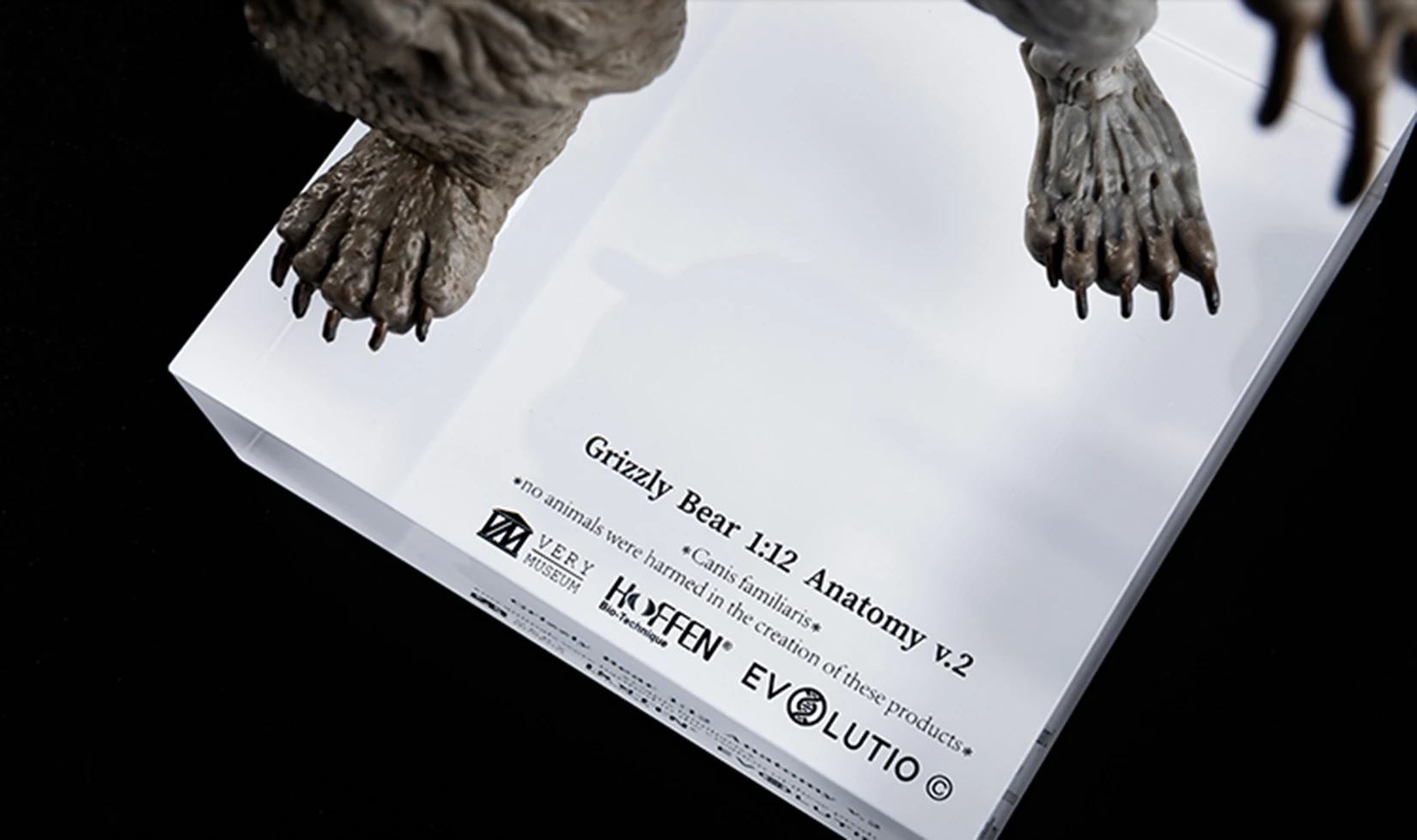 EVOLABORATORY 1/12 Bear Ursidae Muscle Anatomy Model Animal Educational Realistic Scene Decor Figure Collector GK Art Sculpture EVOLABORATORY 1/12 Bear Ursidae Muscle Anatomy Model Animal Educational Realistic Scene Decor Figure Collector GK Art Sculpture