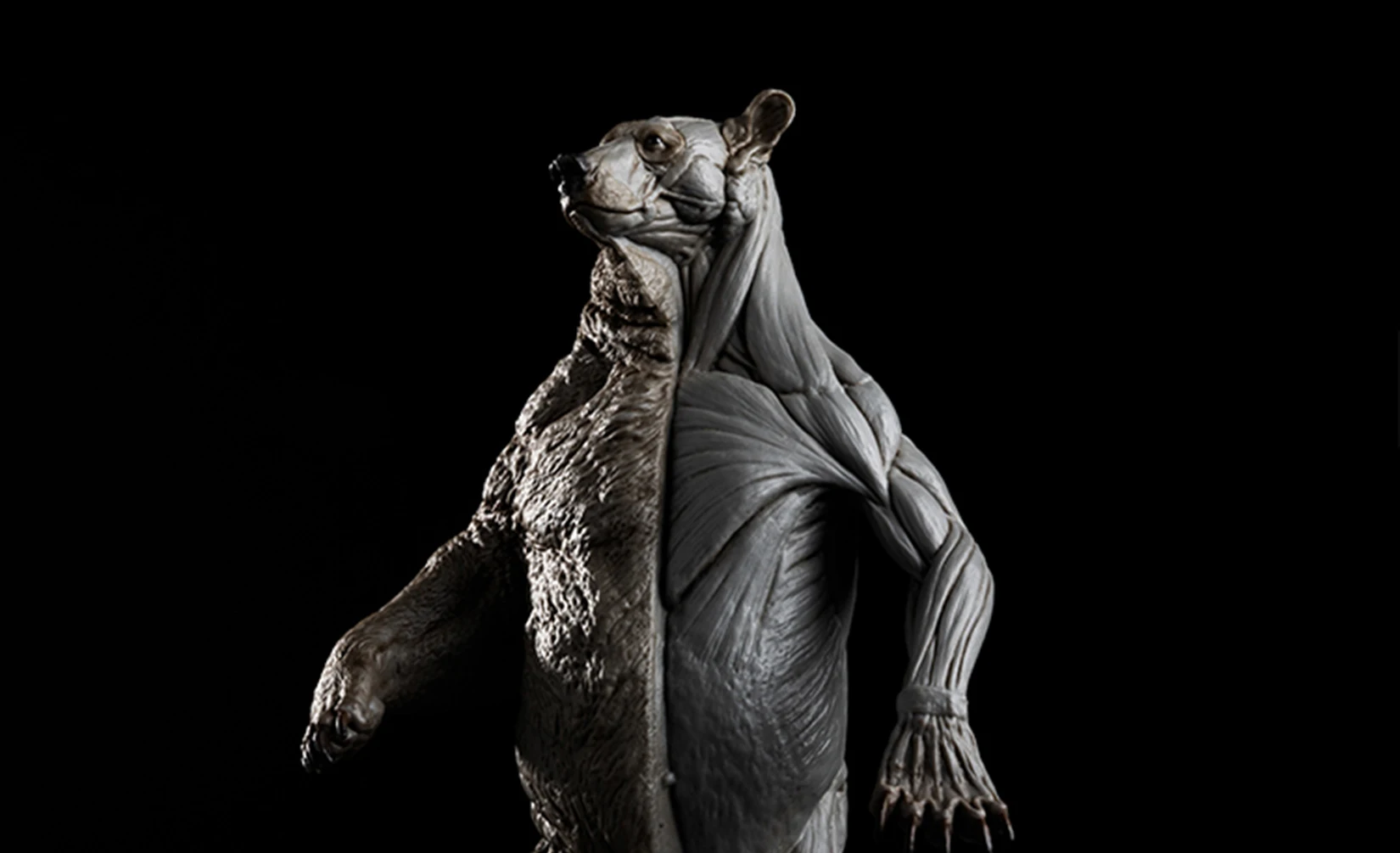 EVOLABORATORY 1/12 Bear Ursidae Muscle Anatomy Model Animal Educational Realistic Scene Decor Figure Collector GK Art Sculpture EVOLABORATORY 1/12 Bear Ursidae Muscle Anatomy Model Animal Educational Realistic Scene Decor Figure Collector GK Art Sculpture