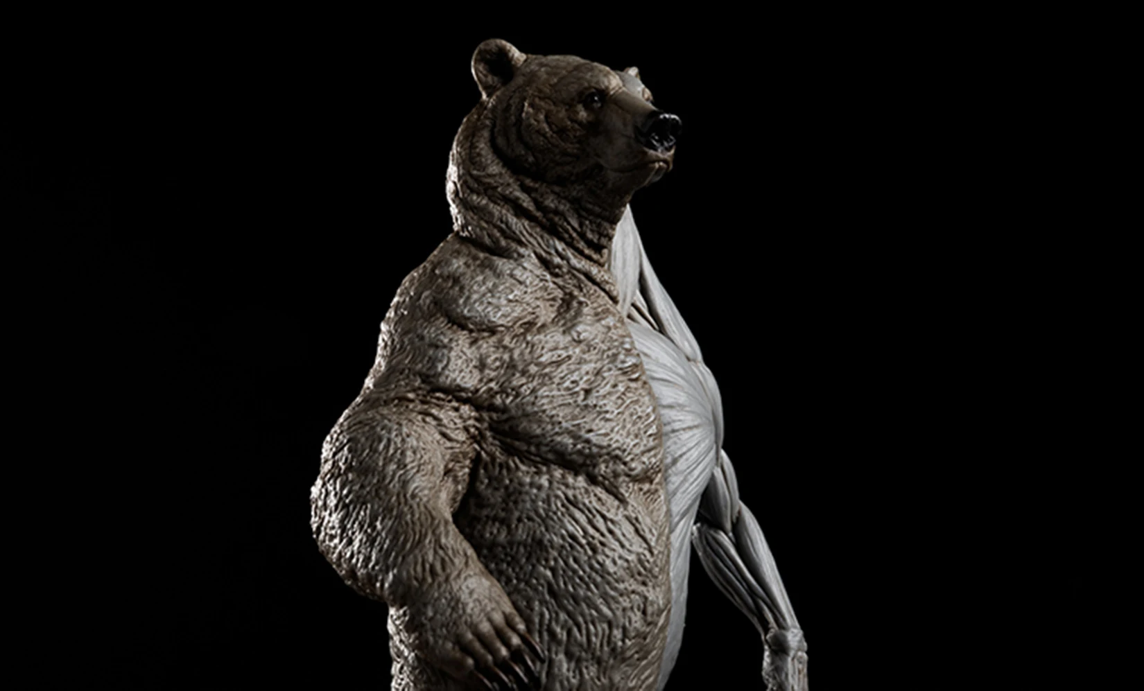 EVOLABORATORY 1/12 Bear Ursidae Muscle Anatomy Model Animal Educational Realistic Scene Decor Figure Collector GK Art Sculpture EVOLABORATORY 1/12 Bear Ursidae Muscle Anatomy Model Animal Educational Realistic Scene Decor Figure Collector GK Art Sculpture