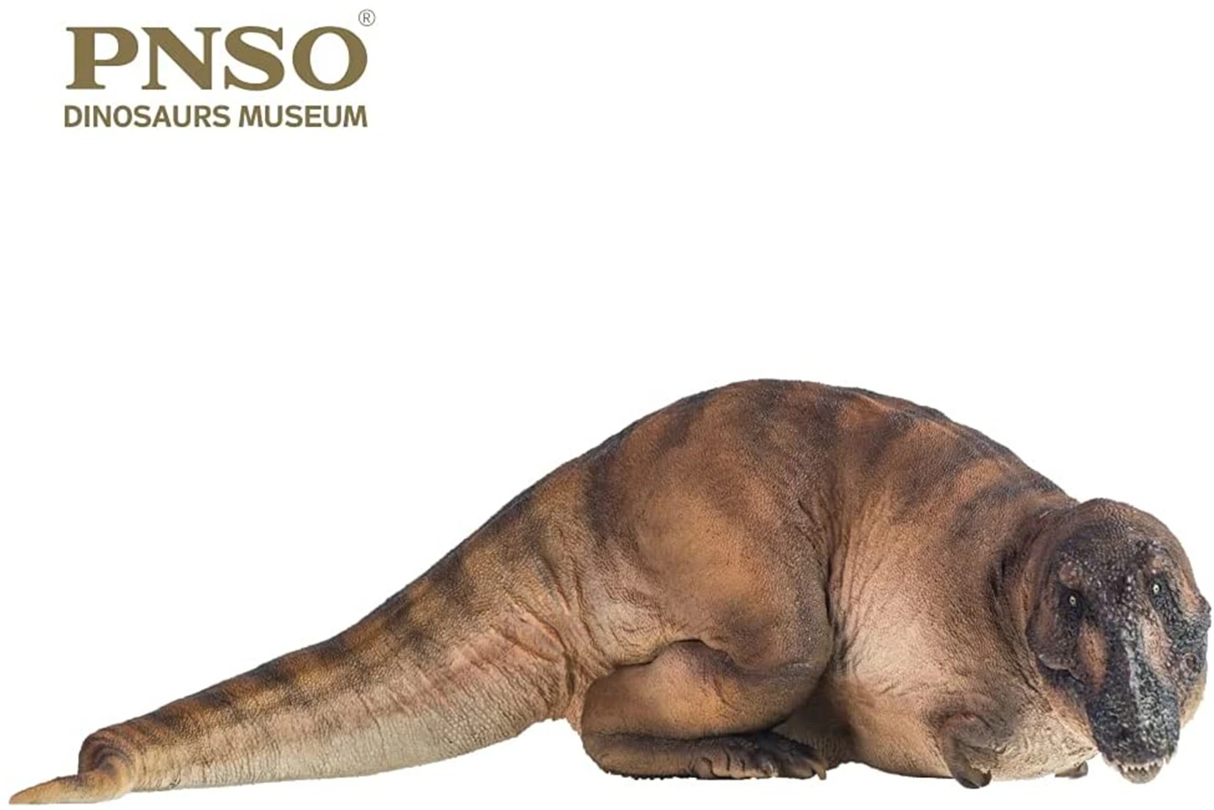 PNSO Dinosaur Museums Series: Andrea The Tyrannosaurus REX 1:35 Scientific Art Model Collector Adult Kids Education Toy Gift