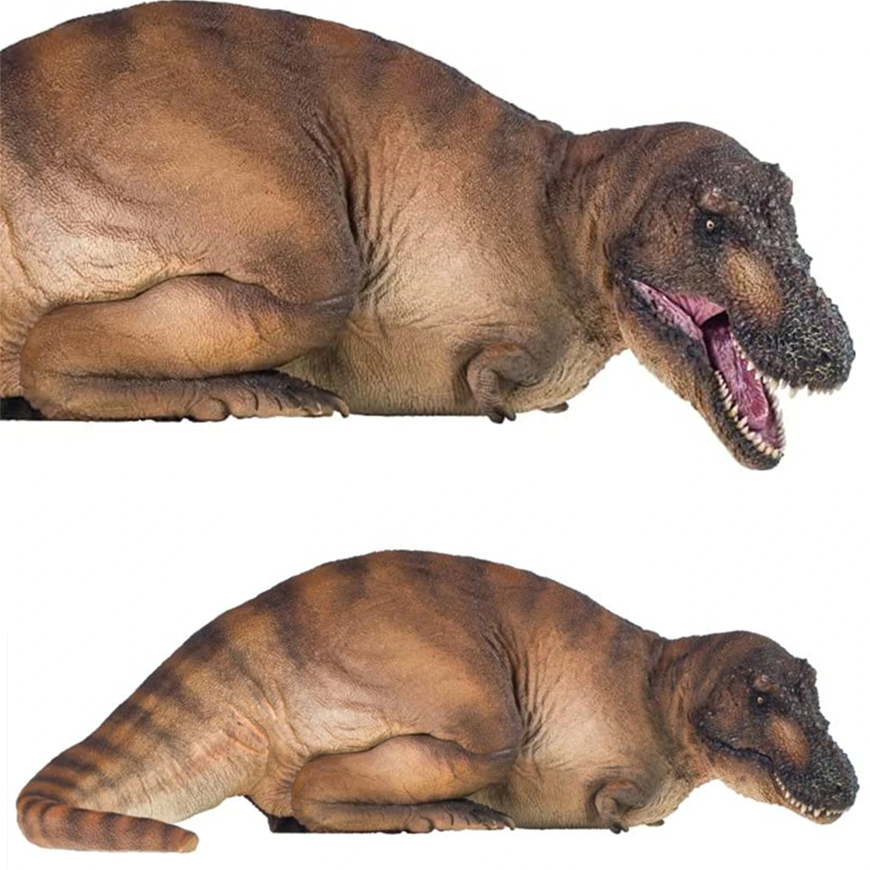 PNSO Dinosaur Museums Series: Andrea The Tyrannosaurus REX 1:35 Scientific Art Model Collector Adult Kids Education Toy Gift