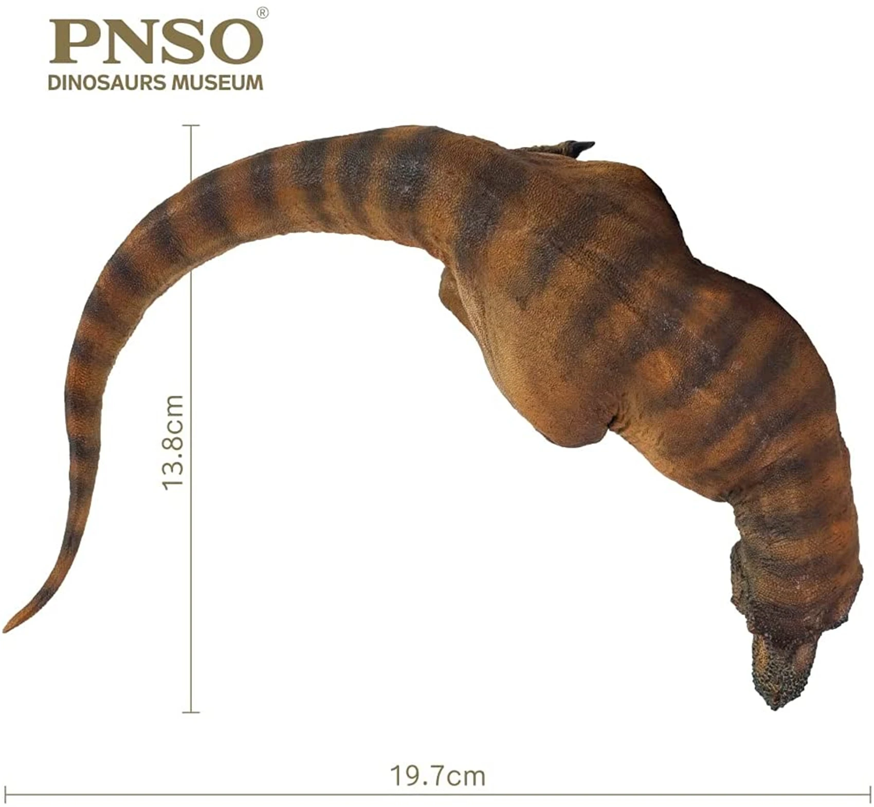 PNSO Dinosaur Museums Series: Andrea The Tyrannosaurus REX 1:35 Scientific Art Model Collector Adult Kids Education Toy Gift